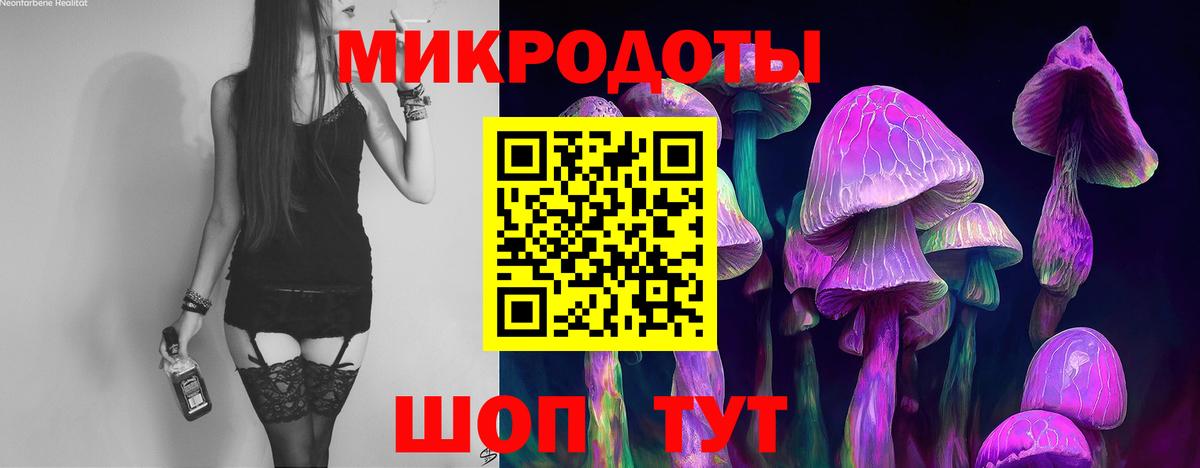 Галлюциногенные грибы Cubensis Псков
